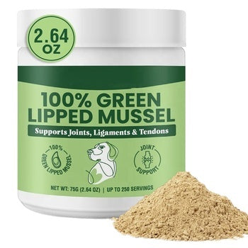 Green Lipped Mussel