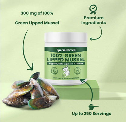 Green Lipped Mussel